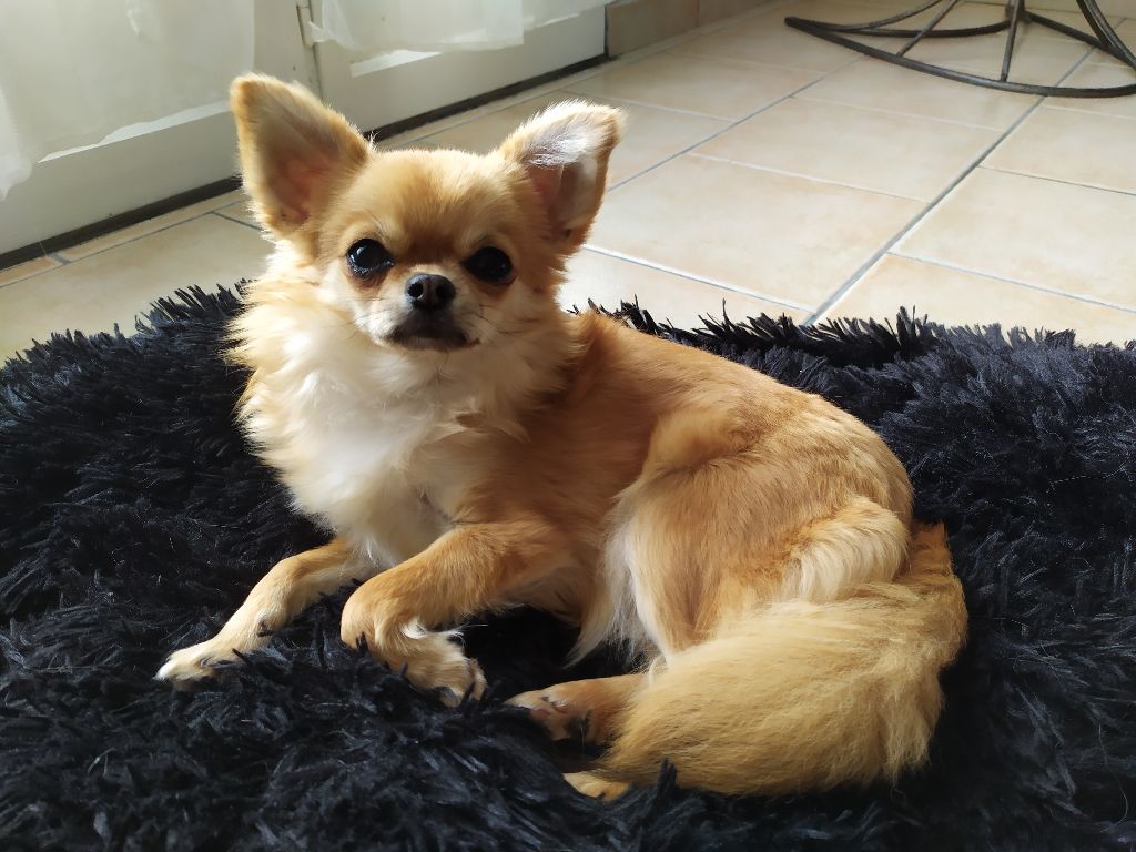 Twixy Des Minis Trésors